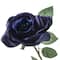 12 Pack: Navy Princess Rose Stem by Ashland®